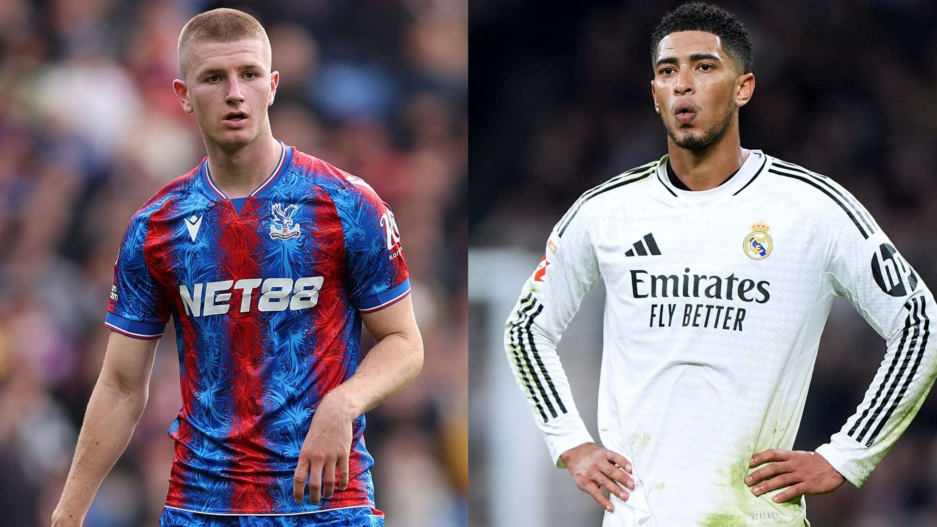 提供了广阔 提供了广阔